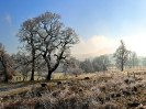 © Elaine Ward  <em>Mist on Pendle A4</em>