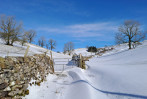 © Jeanette Davidson  <em>Snow on Brows</em>