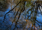 © Margaret Smith  <em>Reflections in Eden A3</em>