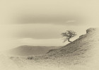 © Paul Underhill  <em>Solitude A3</em>