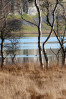 © Rod Smith  <em>At Malham Tarn</em>