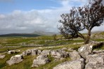 © Elaine Ward  <em>pavement and pen-y--ghent</em>