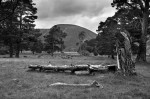© Rod Smith  <em>Glen Feshie</em>