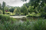 © Sarah France  <em>Clearbeck Gardens 1</em>