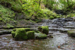 © Ian Hughes  <em>Dent - Flintergill</em>