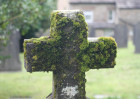 © Mike Mellers  <em>the cross</em>