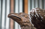 © Peter Robinson  <em>The Eagle</em>
