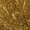 © Sue Best  <em>Dent Marble Floor</em>