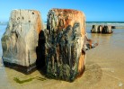 © John Lockwood  <em>Alnmouth Groyne</em>