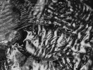 © Rodney Dinnen  <em>Monochrome Detail of Running Water at Leighton Moss</em>