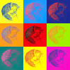 © Ian Hughes  <em>Warhol Cabbages</em>