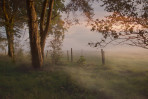 © Margaret Smith  <em>Nearing Day's End</em>