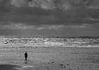 © Rod Smith  <em>P  Hello! Is Anybody Out There?</em>