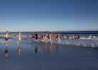 © Sue Best  <em>Boxing Day Dip</em>