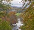 © Chris Yates  <em>autumn at Bolton Abbey</em>