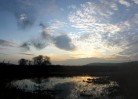 © David Crutchley  <em>Evening murmuration</em>