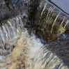 © Rodney Dinnen  <em>Water steps at Gibson's Mill</em>