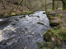 © Sue Best  <em>Hebden Water</em>