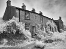 © Harry Pinkerton  <em>Cottages in Downham in infrared</em>