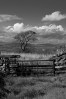 © Chris Yates  <em>whinskill</em>