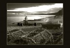 © David Crutchley  <em>evening fisherman</em>