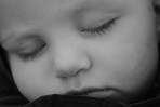 © Jeanette Davidson  <em>Harrison</em>