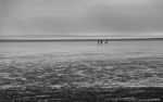 © Rod Smith  <em>On the beach</em>