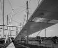 © David Harrop  <em>Kurilpa Bridge</em>