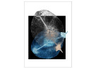 © David Crutchley  <em>Wych Elm Seed</em>