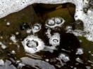 © Gill Pinkerton  <em>Reflections</em>