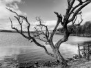 © Mike Mellers  <em>malham tarn</em>