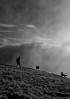 © Paul Higgins  <em>Cloud Walk  *</em>