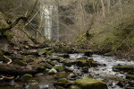 © Rod Smith  <em>* Whitfield Gill Force</em>