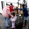 © Gill Pinkerton  <em>Alpaca Magic</em>