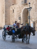 © Rodney Dinnen  <em>Hercules Steptoe Palma</em>