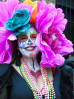 © Susan Bourne  <em>'Khloris'</em>