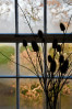 © Chris Chandler  <em>Autumn Window</em>