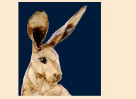 © David Crutchley  <em>Hare Head</em>