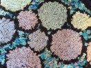 © Elaine Newington Ward  <em>Rug</em>
