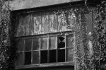 © Margaret Smith  <em>"Advanced state of dereliction"</em>