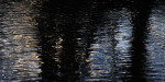 © Rodney Dinnen  <em>Between the woods and the water</em>