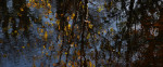 © Rodney Dinnen  <em>Clough river in November</em>