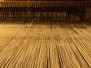 © Sue Best  <em>Reeds</em>