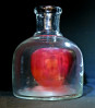 © Elaine Newington Ward  <em>Apple in a jar</em>