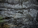 © Harry Pinkerton  <em>Dipper's view of water</em>