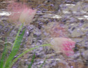 © Margaret Smith  <em>Double exposure with movement</em>