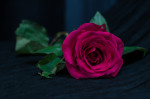 © Peter Robinson  <em>Red and Green</em>