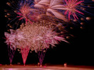 © Andy Best  <em>Fireworks (P)</em>