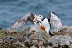 © Graham Wood  <em>Clifftop Lunch</em>