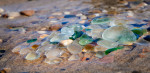© Margaret Smith  <em>Sea glass at Seaham</em>